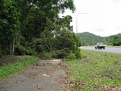 Cairns47 Cyclone Larry